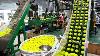 Tennis Balls Manufacturing How Tennis Ball Made In Factory Tennis Ball Processing Production